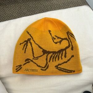 Arc’teryx Bird Head Toque Beanie